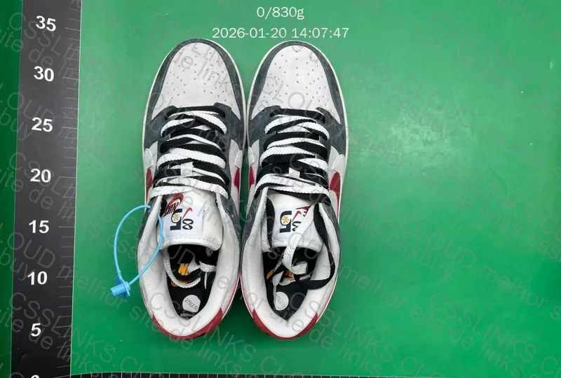 Dunk Low SE 85 Double Swoosh 10