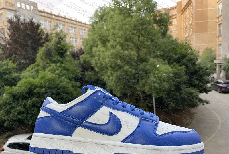 DUNK LOW SP KENTUCKY 10