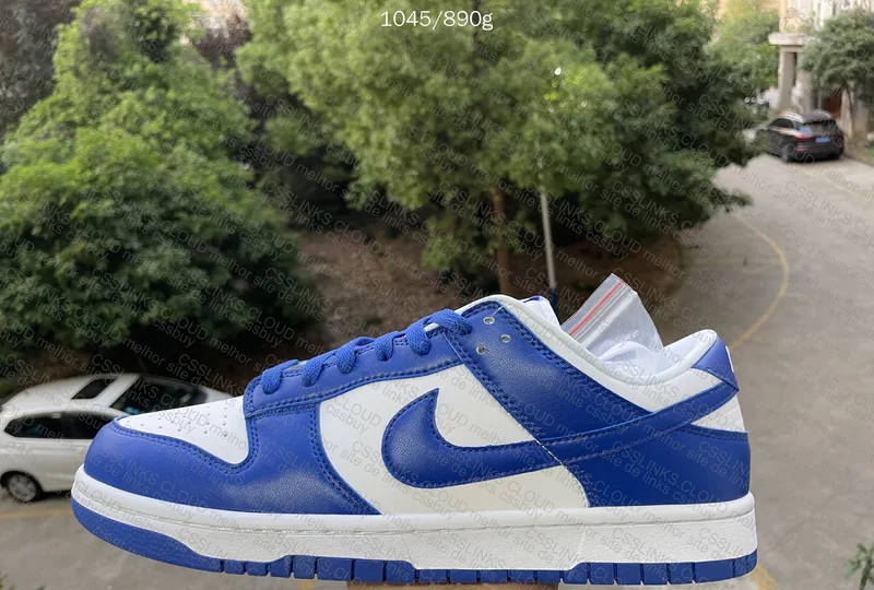 DUNK LOW SP KENTUCKY 9