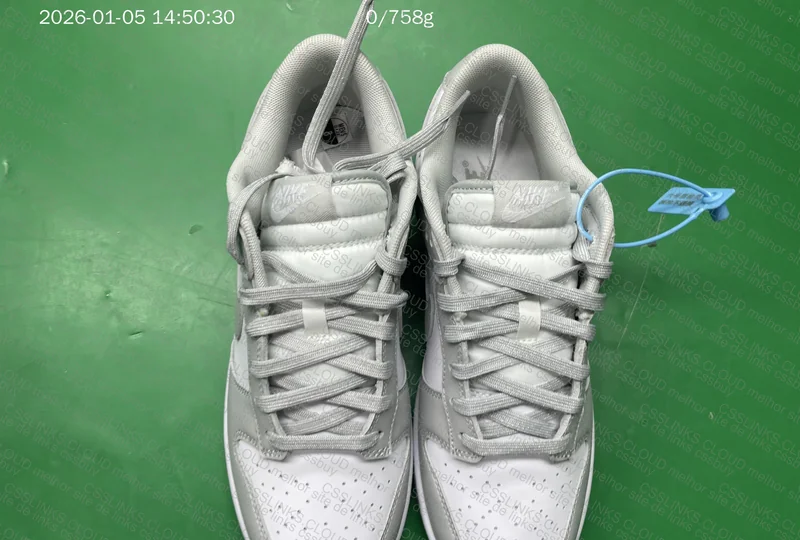 Dunk Low SP White Grey 5