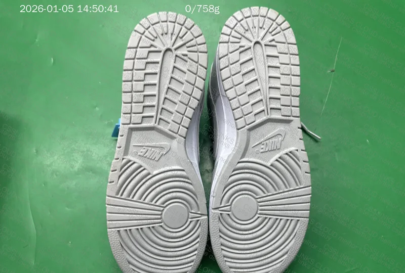 Dunk Low SP White Grey 8