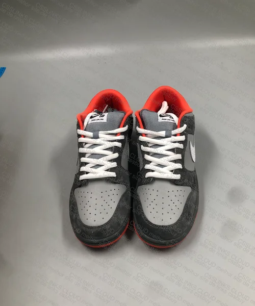 DUNK LOW STAPLE NYC PIGEON 6