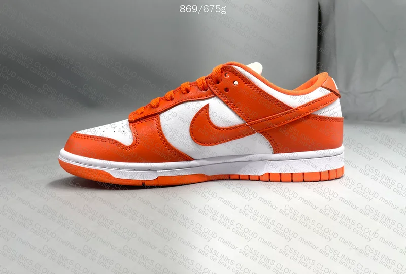 Dunk Low "Syracuse" 5