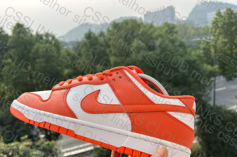 Dunk Low Syracuse 2
