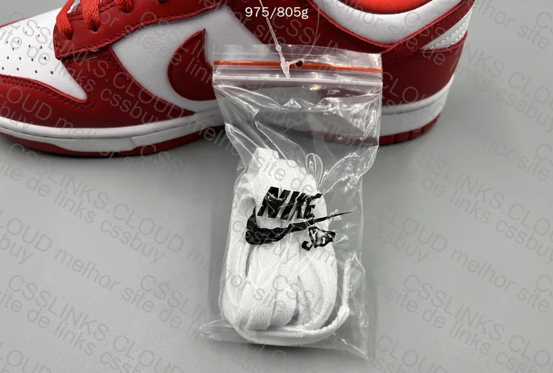 DUNK LOW UNIVERSITY RED 5