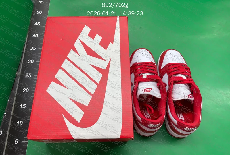 Dunk Low University Red (Blind Box) 4