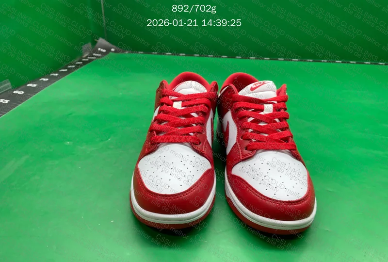 Dunk Low University Red (Blind Box) 5