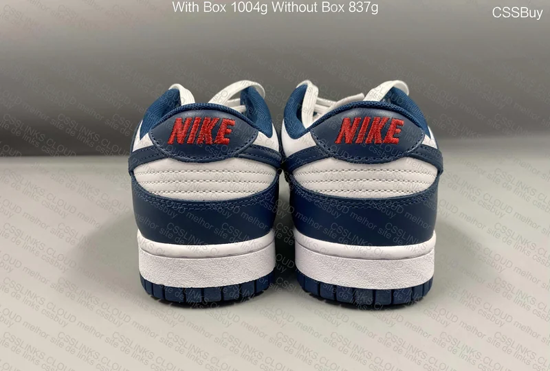 Dunk Low Valerian Blue 3