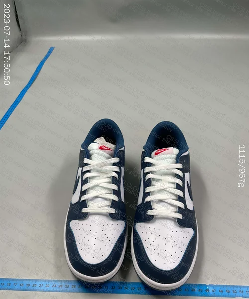 Dunk Low Valerian Blue 2