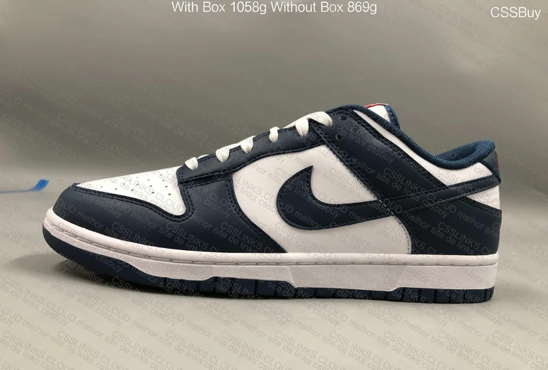Dunk low Valerian Blue 10