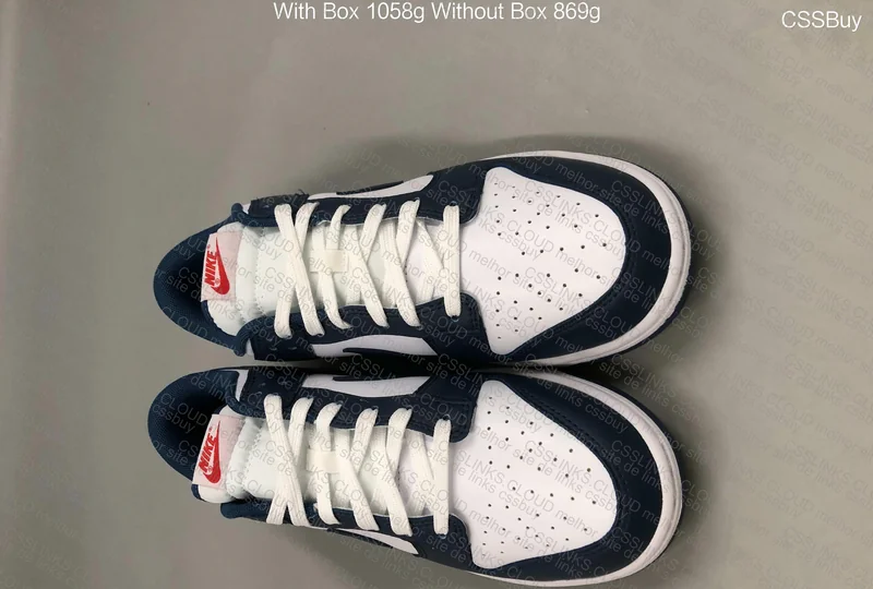 Dunk low Valerian Blue 3