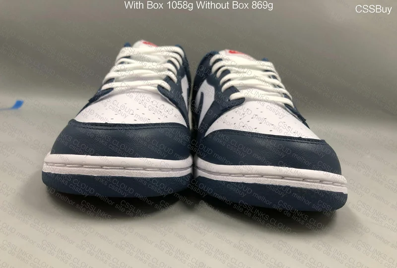 Dunk low Valerian Blue 4