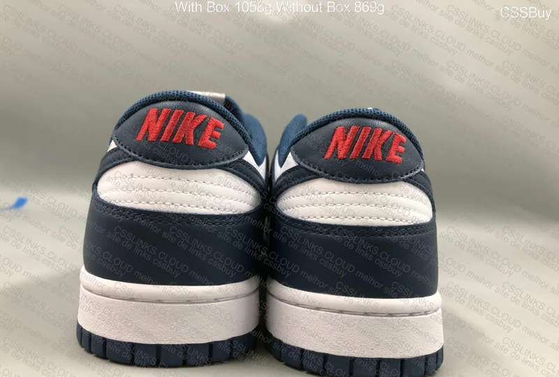 Dunk low Valerian Blue 5