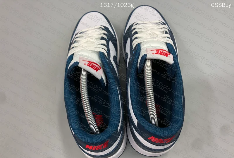 Dunk Low Valerian Blue 4