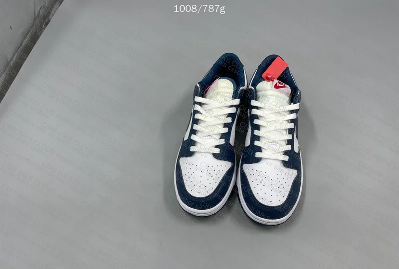 Dunk Low Valerian Blue 2