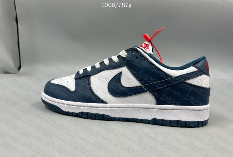 Dunk Low Valerian Blue 4