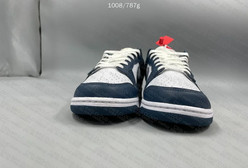 Dunk Low Valerian Blue 5