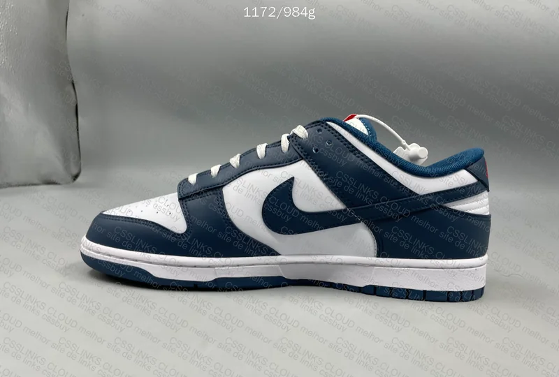 Dunk Low Valerian Blue 5