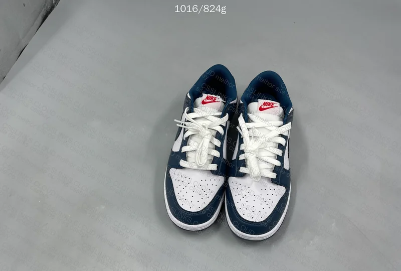 Dunk Low Valerian Blue 4