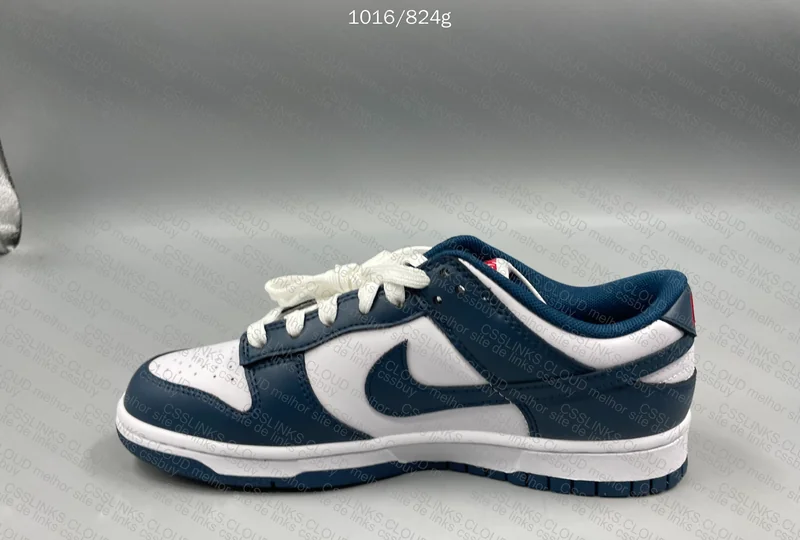 Dunk Low Valerian Blue 5