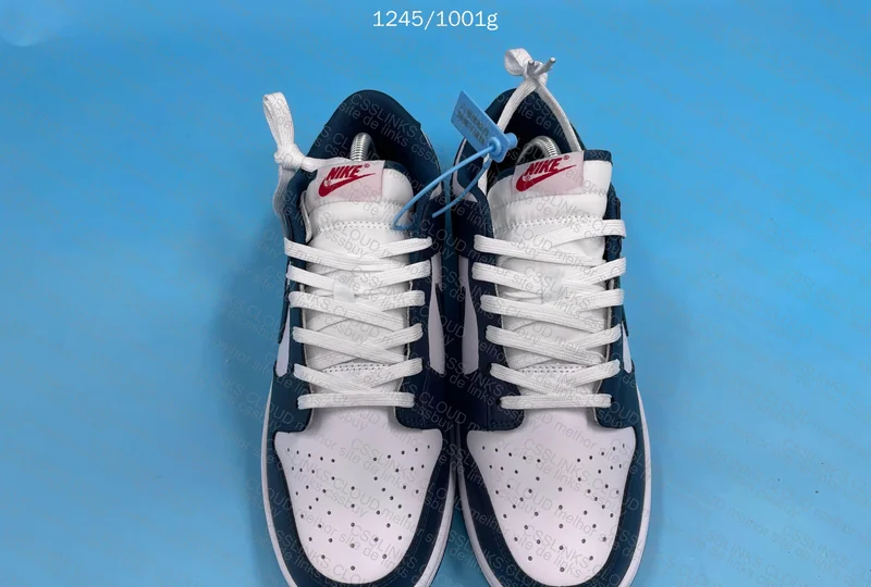 Dunk low Valerian blue