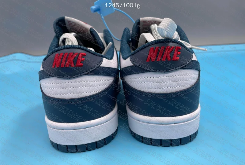 Dunk low Valerian blue 2