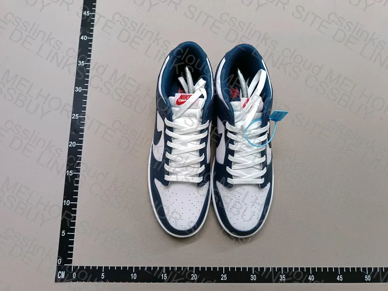 Dunk Low Valerian Blue