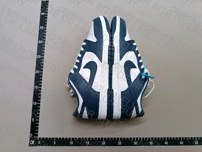 Dunk Low Valerian Blue 2