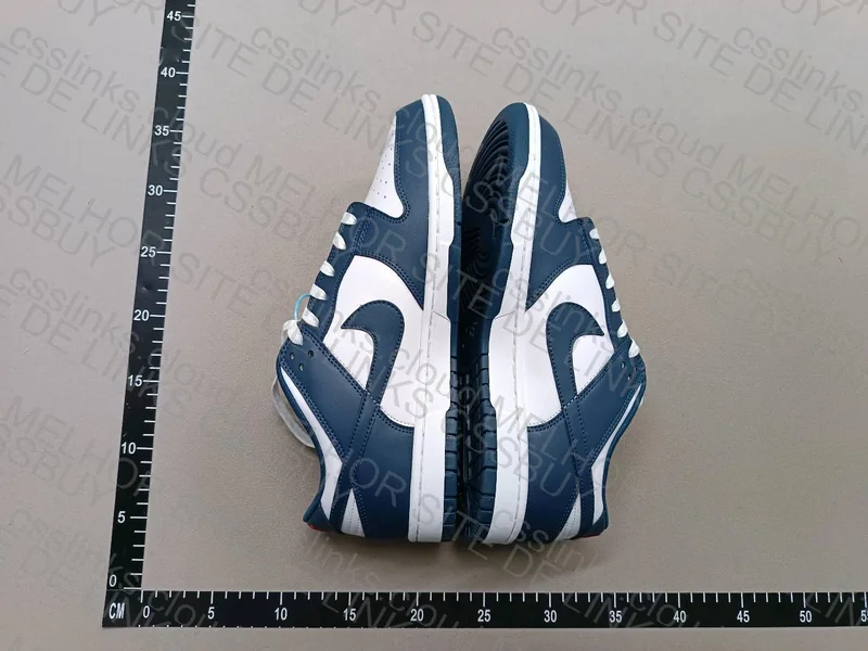 Dunk Low Valerian Blue 3