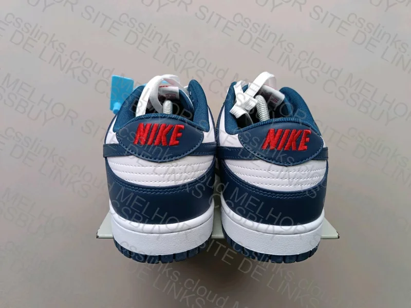 Dunk Low Valerian Blue 4