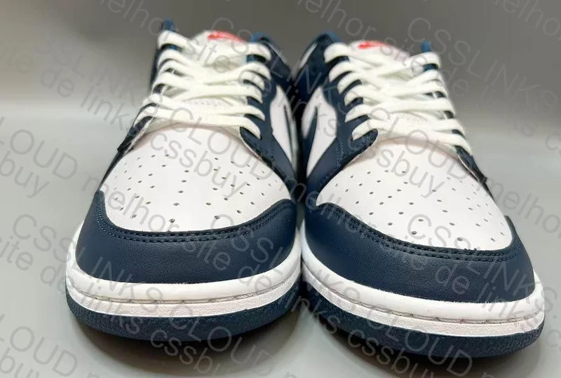 dunk low valerian blue New VT 4