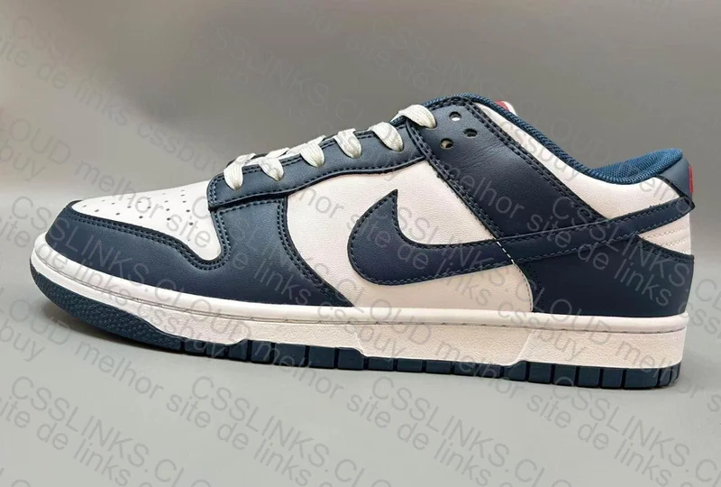 dunk low valerian blue New VT 6
