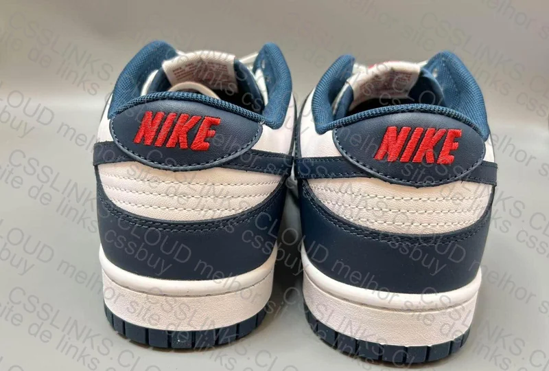 dunk low valerian blue New VT 9