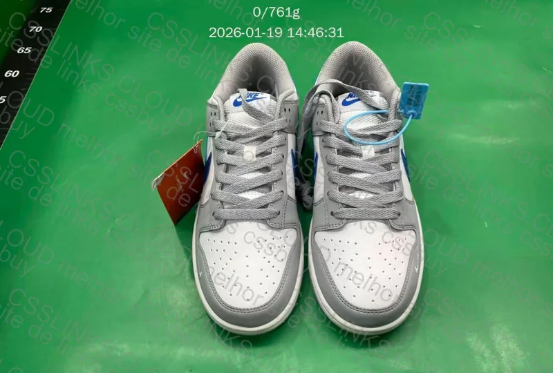 Dunk Low Wolf Grey Game Royal 10