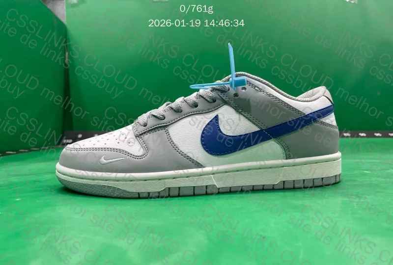 Dunk Low Wolf Grey Game Royal 5