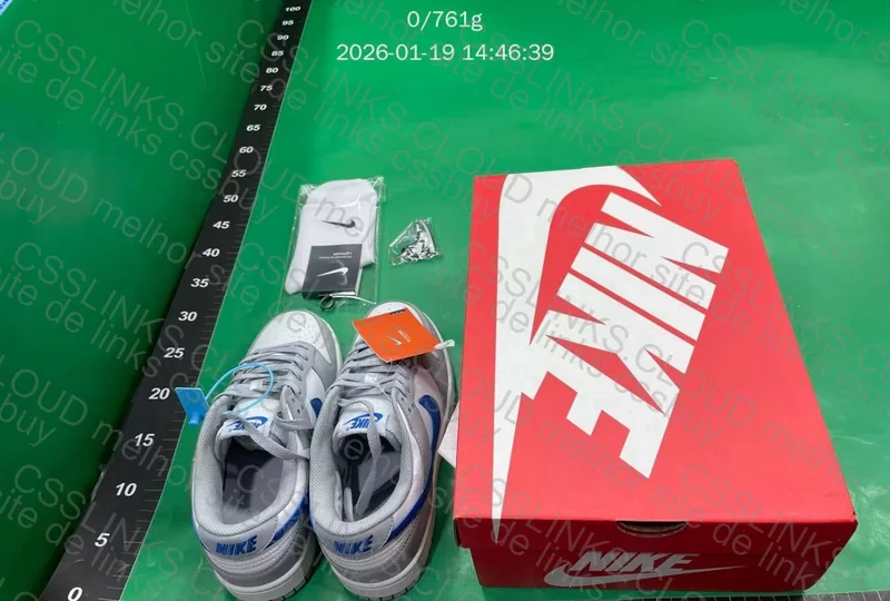 Dunk Low Wolf Grey Game Royal 8