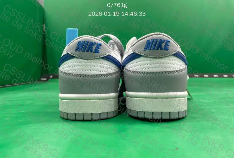 Dunk Low Wolf Grey Game Royal 9