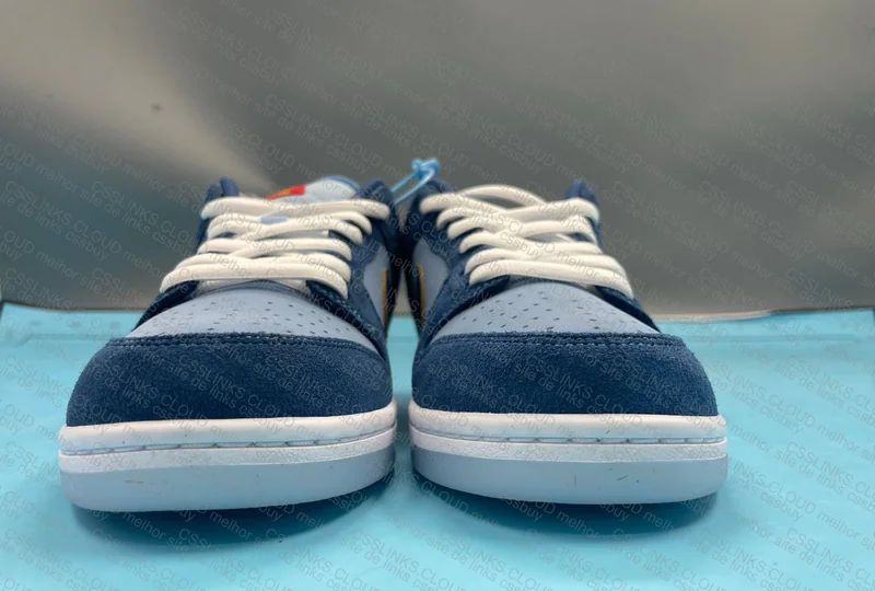 Dunk low WSS 2