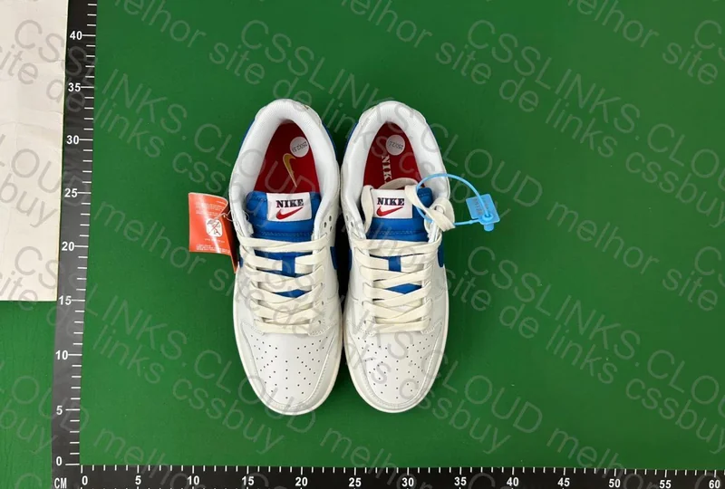 Dunk Marina Blue 2