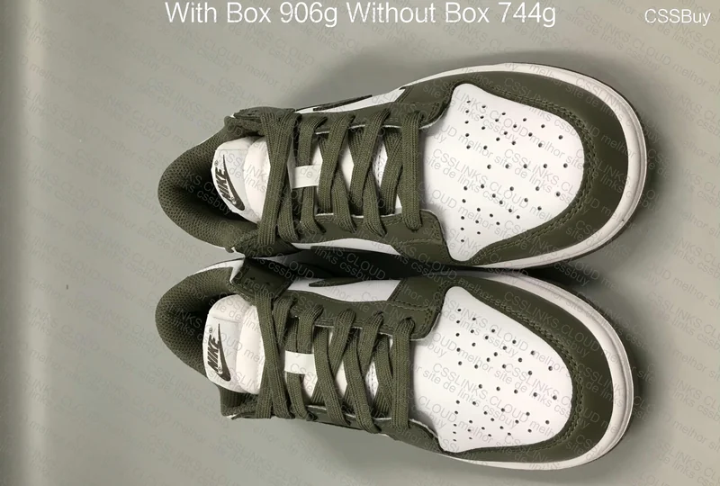 Dunk Medium Olive 5