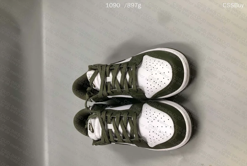 Dunk Medium Olive 2