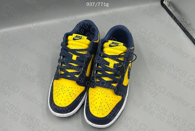 Dunk Michigan 2