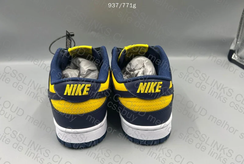 Dunk Michigan 4