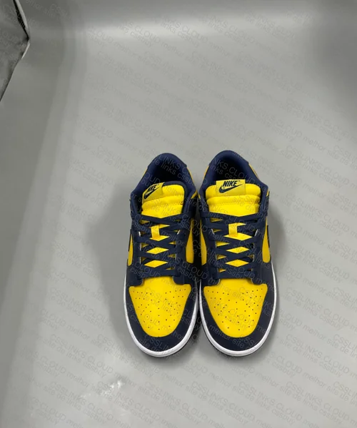 Dunk Michigan Gl? ajudem 3