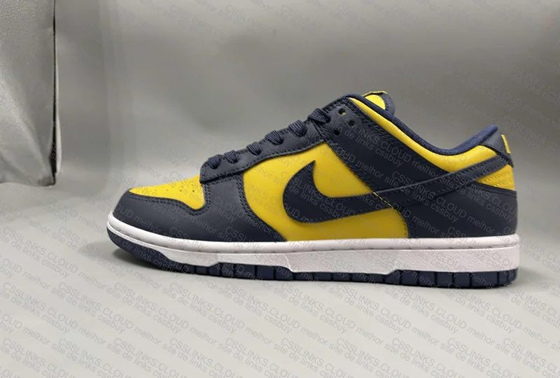 Dunk Michigan Gl? ajudem 5