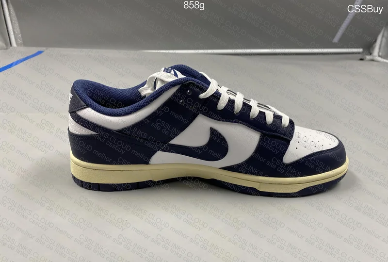 dunk midnight navy 6