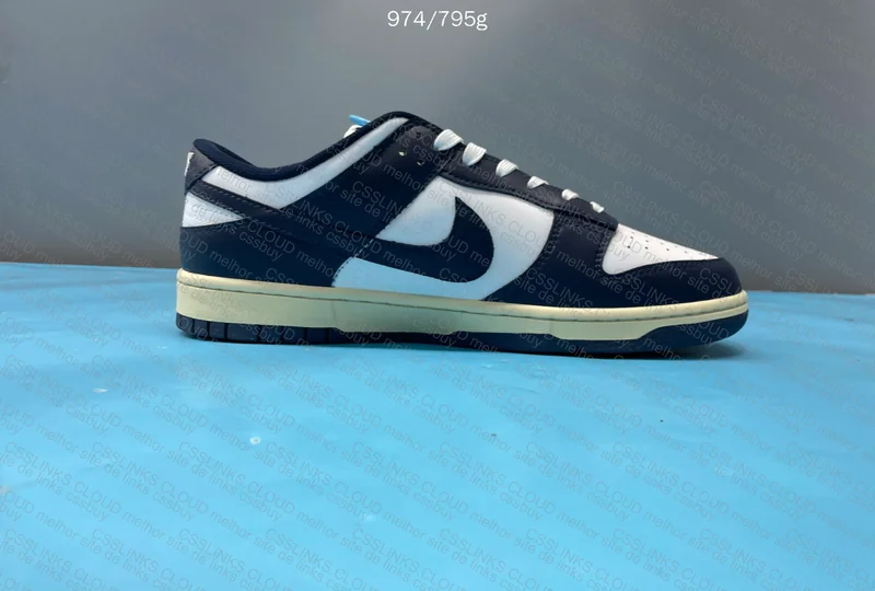 DUNK MIDNIGHT NAVY 5