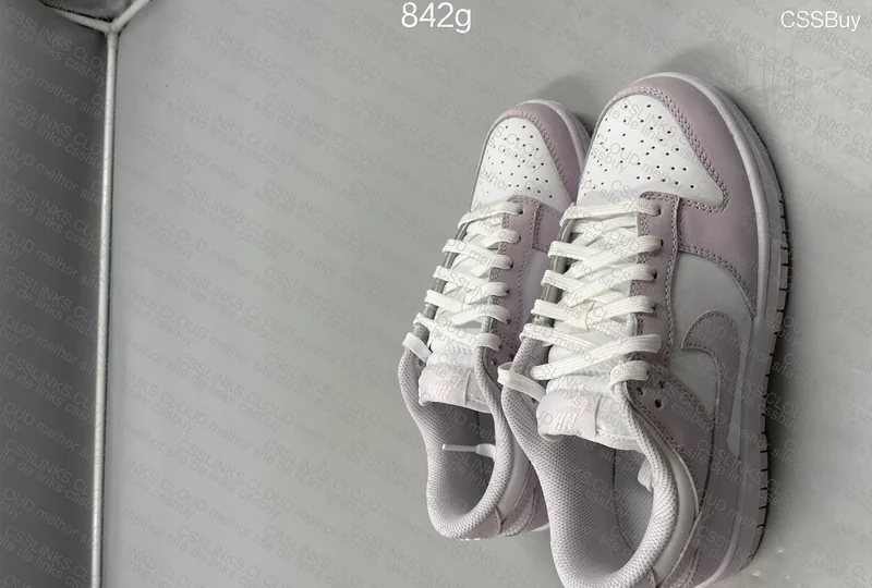 Dunk (Color Unknown) 5