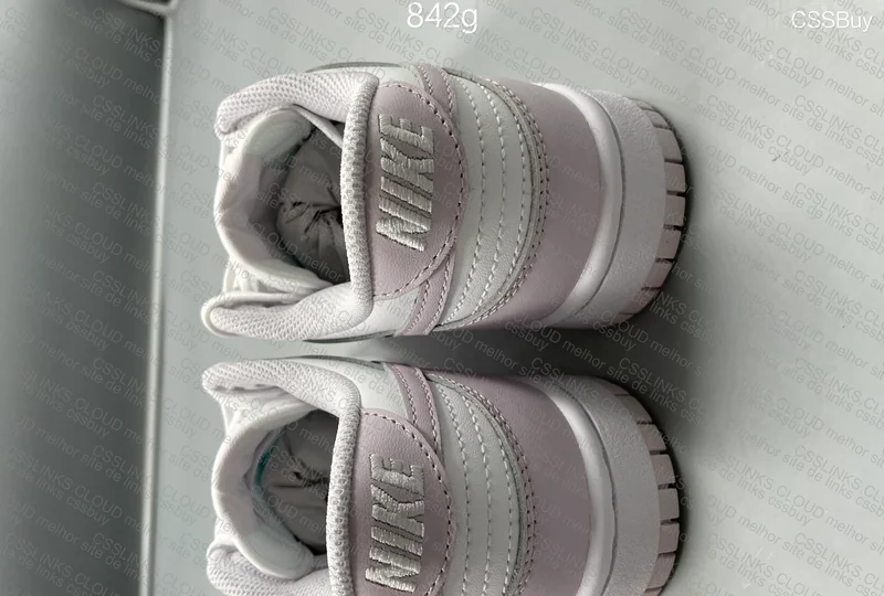 Dunk (Color Unknown) 6