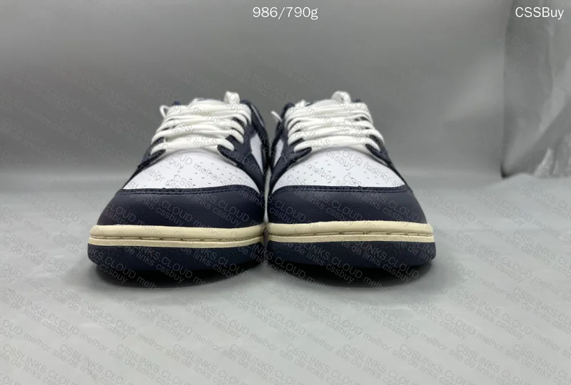 Dunk Navy blue 2
